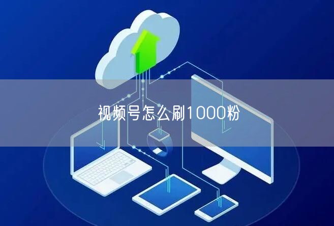 视频号怎么刷1000粉