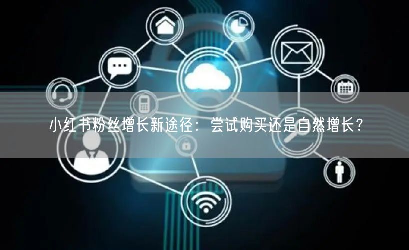 小红书粉丝增长新途径：尝试购买还是自然增长？