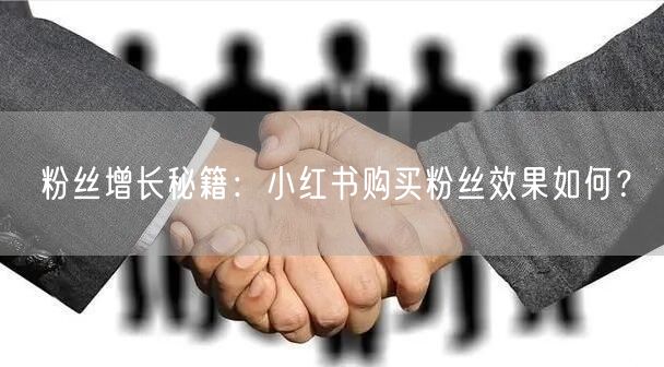 粉丝增长秘籍：小红书购买粉丝效果如何？
