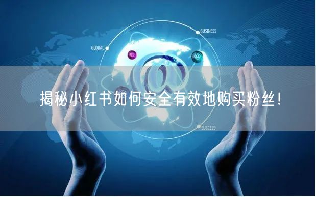 揭秘小红书如何安全有效地购买粉丝！