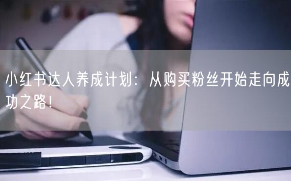小红书达人养成计划：从购买粉丝开始走向成功之路！