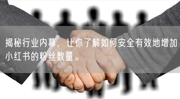 揭秘行业内幕，让你了解如何安全有效地增加小红书的粉丝数量。