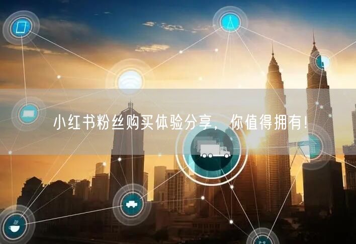 小红书粉丝购买体验分享，你值得拥有！