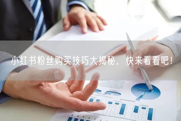 小红书粉丝购买技巧大揭秘，快来看看吧！