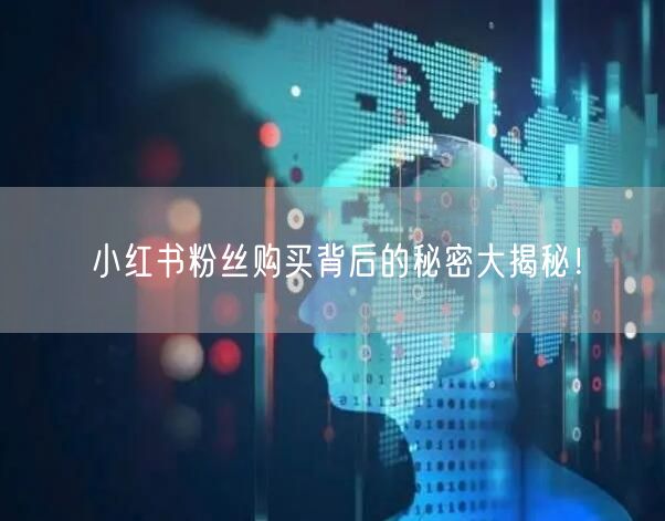 小红书粉丝购买背后的秘密大揭秘！