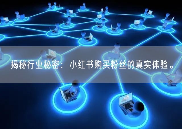 揭秘行业秘密：小红书购买粉丝的真实体验。