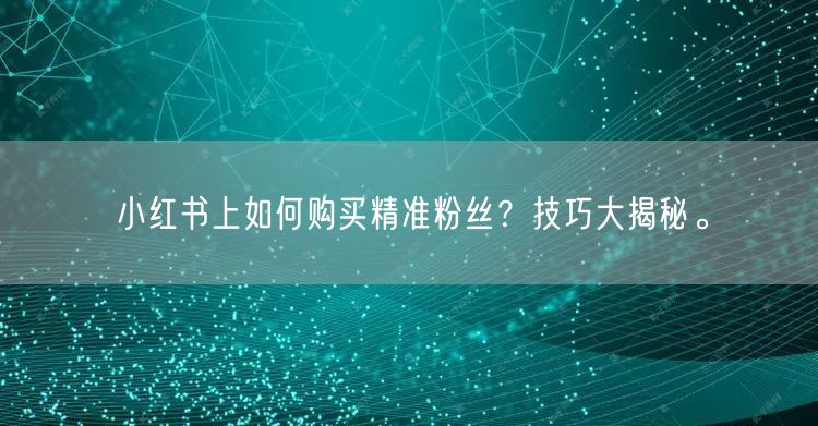小红书上如何购买精准粉丝？技巧大揭秘。