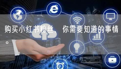 购买小红书粉丝，你需要知道的事情。