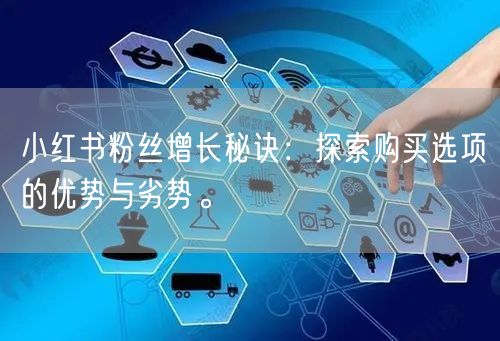 小红书粉丝增长秘诀：探索购买选项的优势与劣势。