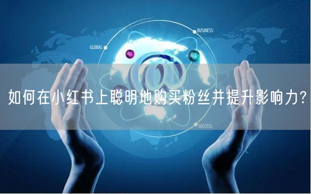 如何在小红书上聪明地购买粉丝并提升影响力？