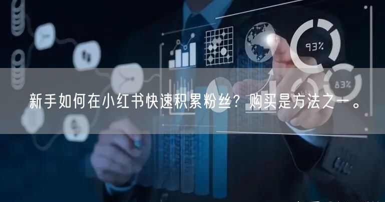 新手如何在小红书快速积累粉丝？购买是方法之一。