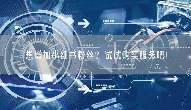 想增加小红书粉丝？试试购买服务吧！