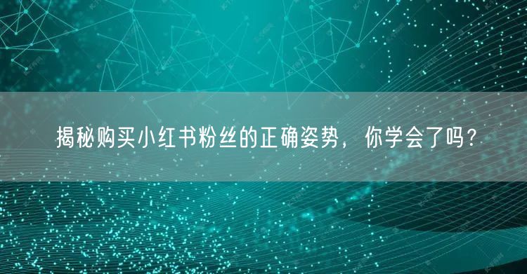 揭秘购买小红书粉丝的正确姿势，你学会了吗？