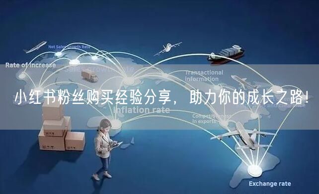 小红书粉丝购买经验分享，助力你的成长之路！
