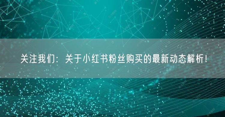 关注我们：关于小红书粉丝购买的最新动态解析！