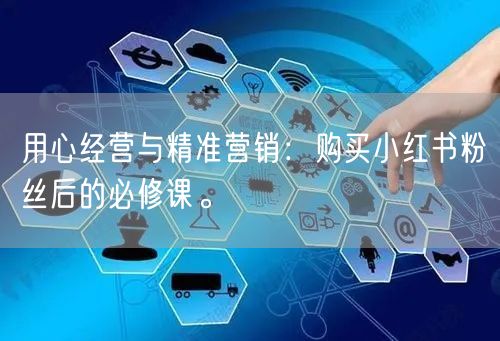 用心经营与精准营销：购买小红书粉丝后的必修课。