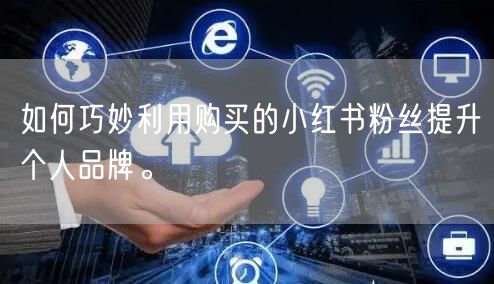 如何巧妙利用购买的小红书粉丝提升个人品牌。