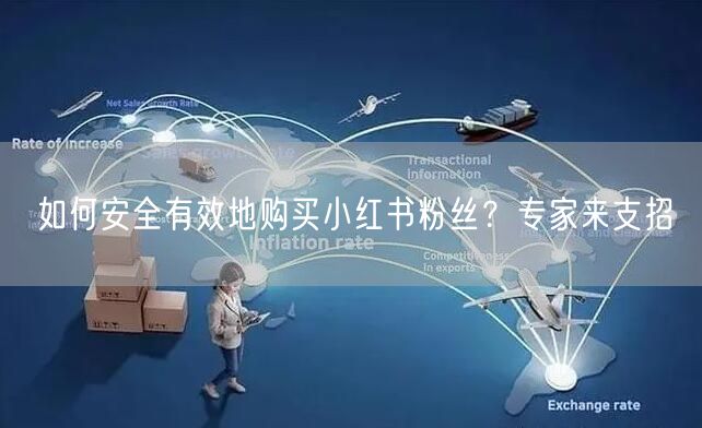 如何安全有效地购买小红书粉丝？专家来支招