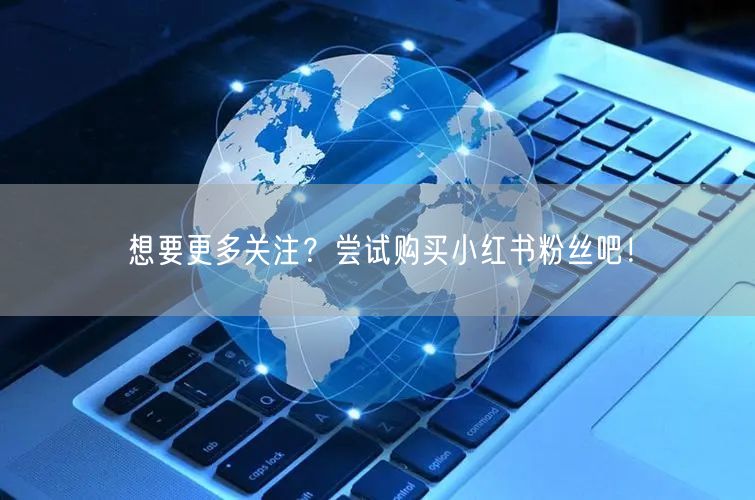 想要更多关注？尝试购买小红书粉丝吧！