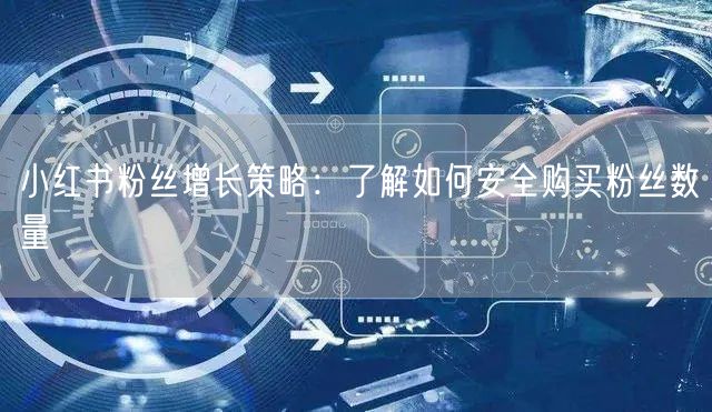 小红书粉丝增长策略：了解如何安全购买粉丝数量