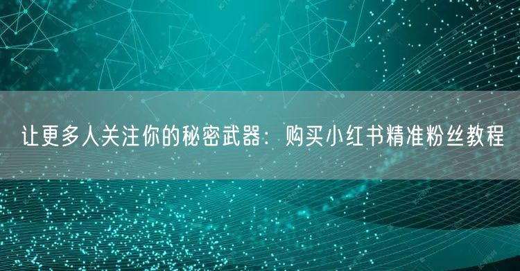 让更多人关注你的秘密武器：购买小红书精准粉丝教程