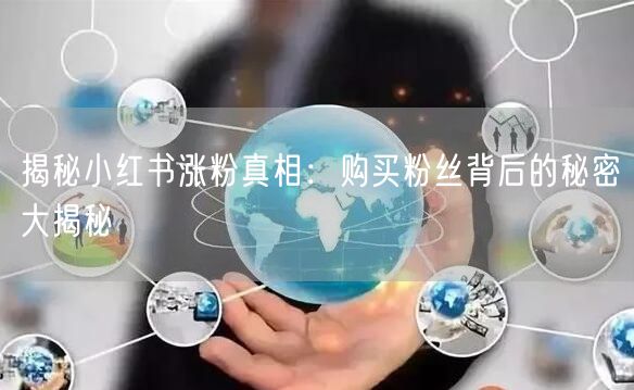 揭秘小红书涨粉真相：购买粉丝背后的秘密大揭秘