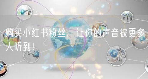 购买小红书粉丝，让你的声音被更多人听到！