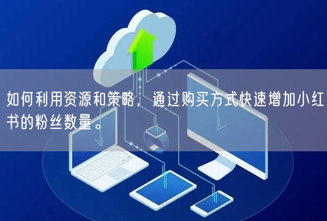 如何利用资源和策略，通过购买方式快速增加小红书的粉丝数量。
