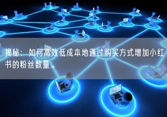揭秘：如何高效低成本地通过购买方式增加小红书的粉丝数量。