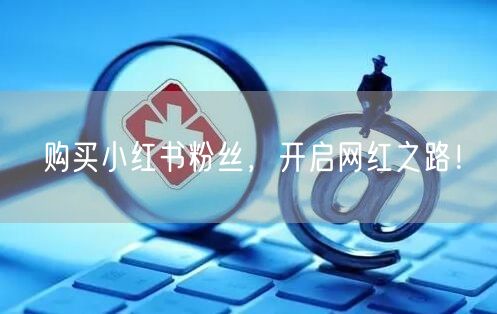 购买小红书粉丝，开启网红之路！