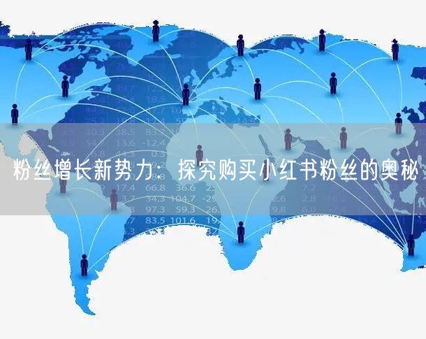 粉丝增长新势力：探究购买小红书粉丝的奥秘