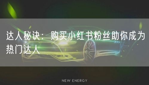 达人秘诀：购买小红书粉丝助你成为热门达人