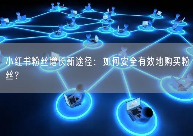 小红书粉丝增长新途径：如何安全有效地购买粉丝？