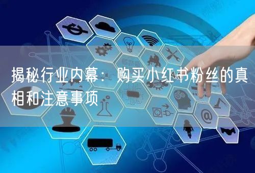 揭秘行业内幕：购买小红书粉丝的真相和注意事项
