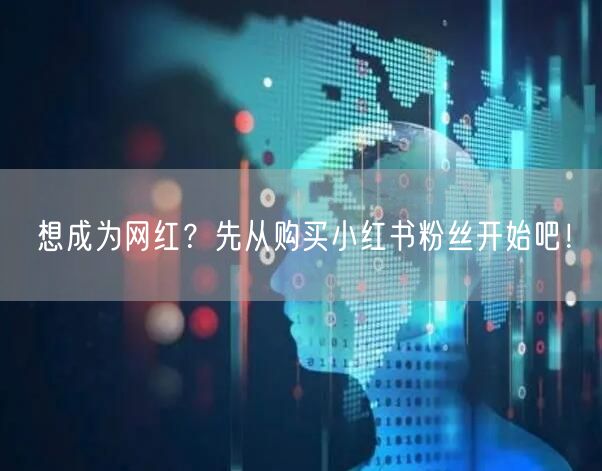 想成为网红？先从购买小红书粉丝开始吧！