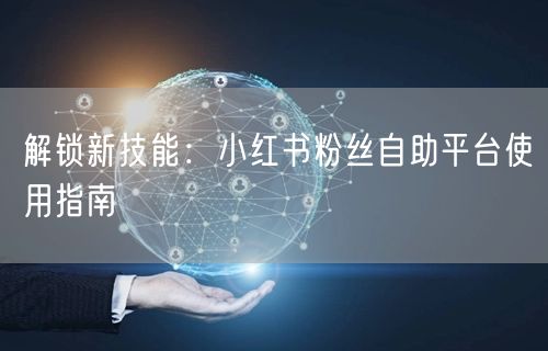 解锁新技能：小红书粉丝自助平台使用指南