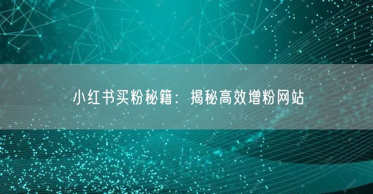 小红书买粉秘籍：揭秘高效增粉网站