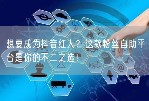 想要成为抖音红人？这款粉丝自助平台是你的不二之选！