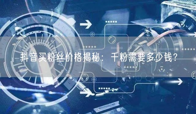 抖音买粉丝价格揭秘：千粉需要多少钱？