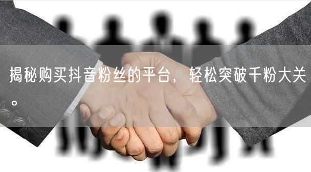 揭秘购买抖音粉丝的平台，轻松突破千粉大关。