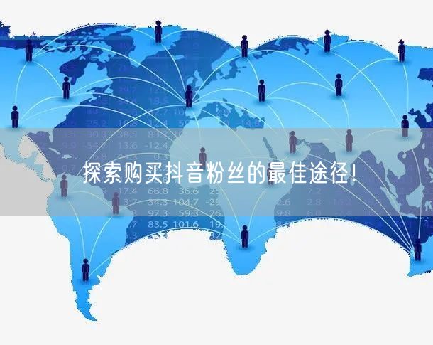 探索购买抖音粉丝的最佳途径！