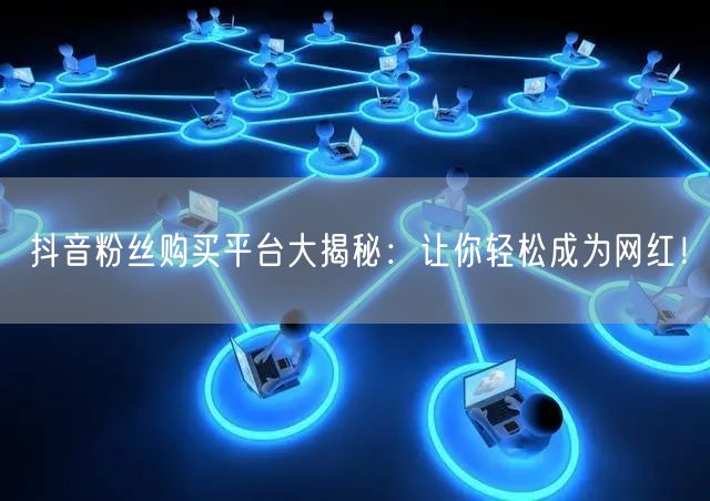 抖音粉丝购买平台大揭秘：让你轻松成为网红！