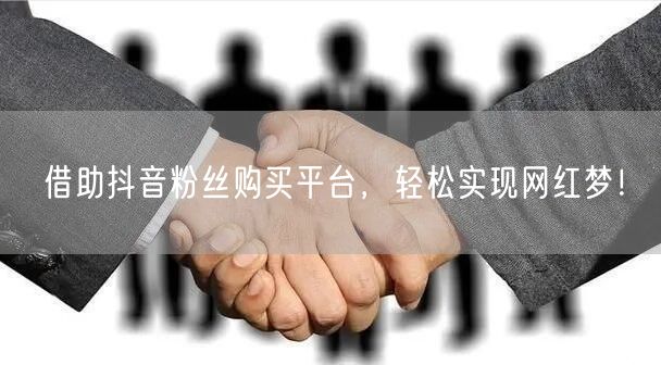 借助抖音粉丝购买平台，轻松实现网红梦！