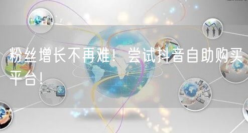 粉丝增长不再难！尝试抖音自助购买平台！