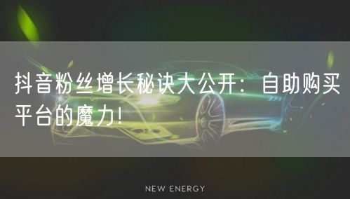 抖音粉丝增长秘诀大公开：自助购买平台的魔力！