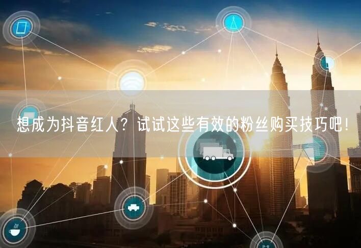 想成为抖音红人？试试这些有效的粉丝购买技巧吧！