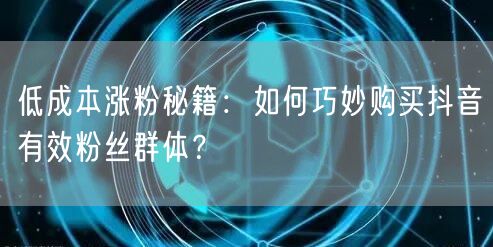 低成本涨粉秘籍：如何巧妙购买抖音有效粉丝群体？