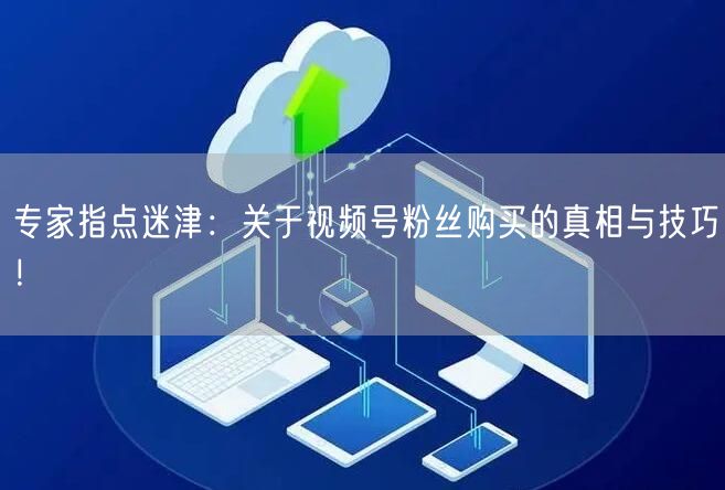 专家指点迷津：关于视频号粉丝购买的真相与技巧！