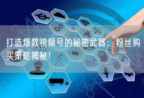 打造爆款视频号的秘密武器：粉丝购买策略揭秘！