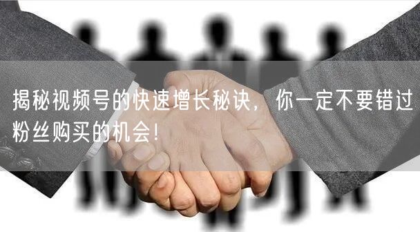 揭秘视频号的快速增长秘诀，你一定不要错过粉丝购买的机会！